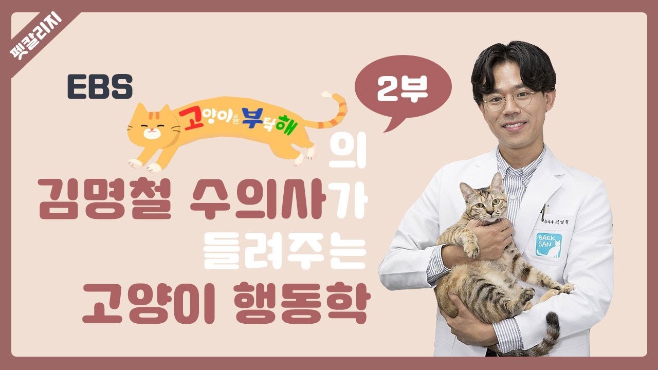 김명철 수의사의 고양이 행동학 2부 [2018 펫페어] - 펫칼리지 - Youtube