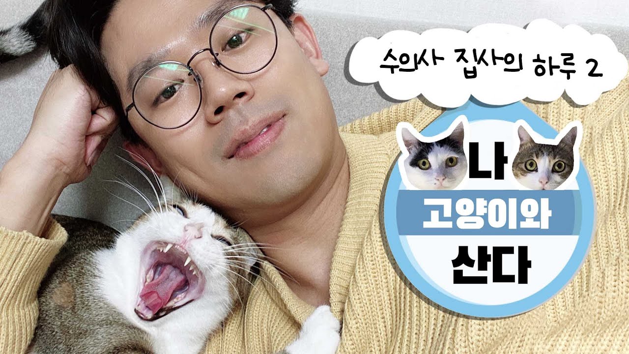 V-Log] 수의사 집사는 고양이랑 집에서 하루종일 뭘 할까?🏡🐈 - Youtube